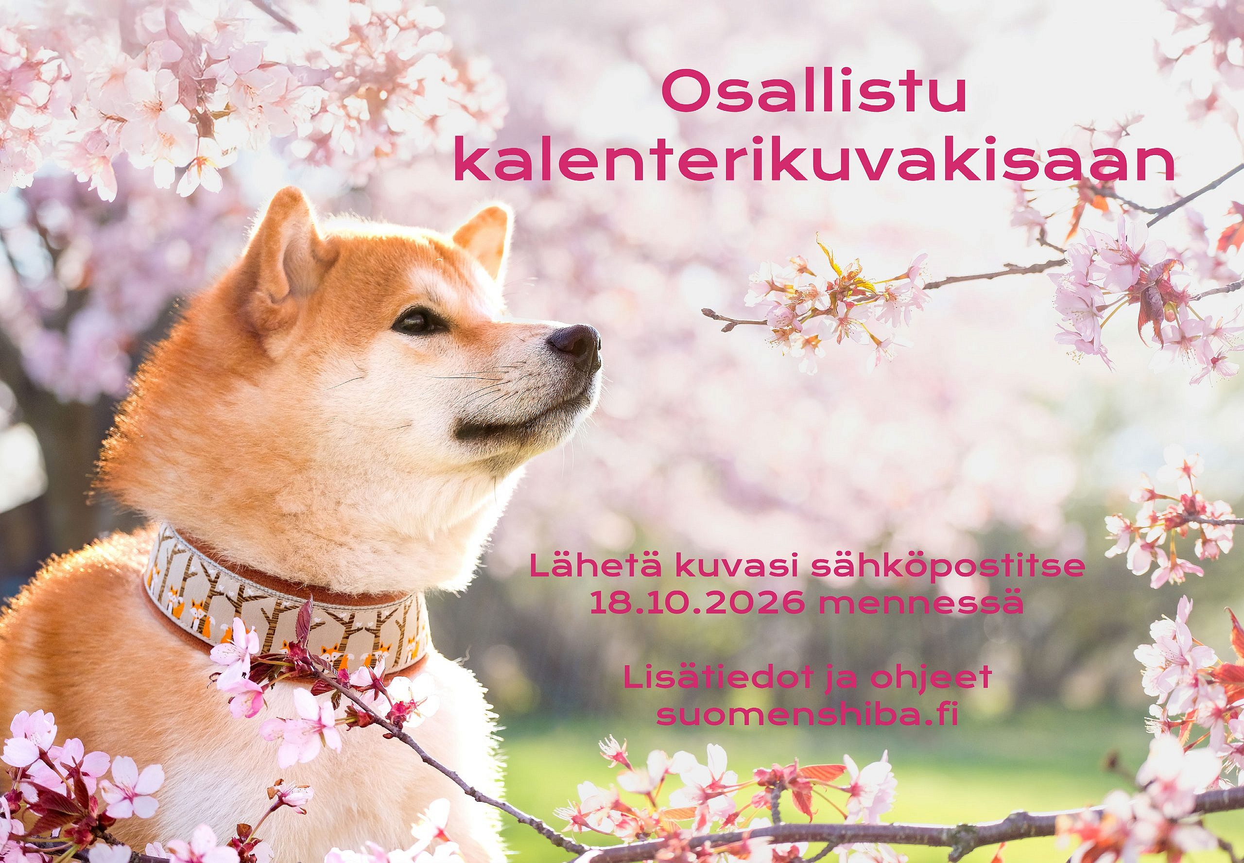 Kalenterikuvakisa